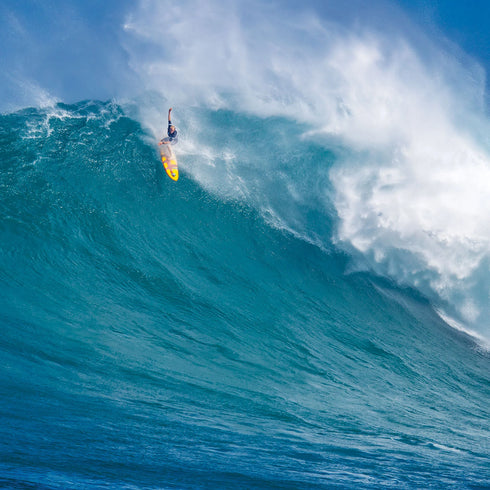 Leash O&E 15' Big Wave Quick Release